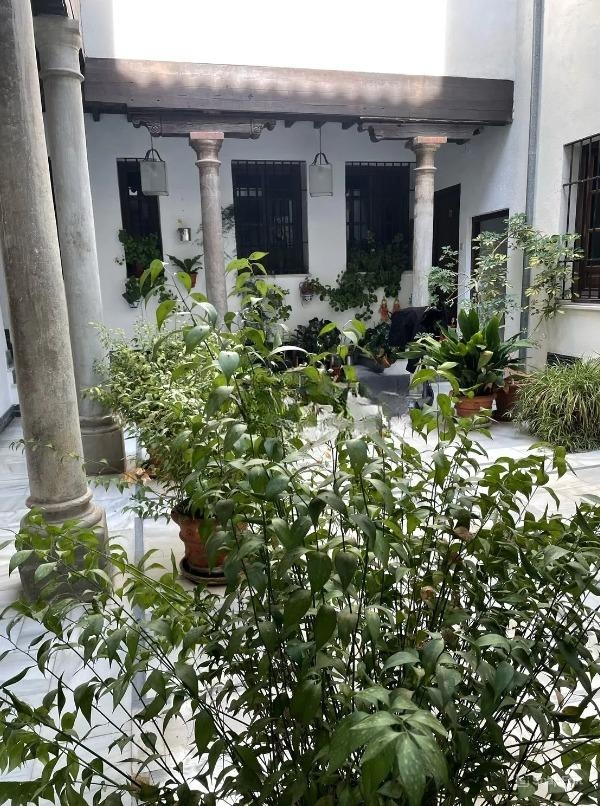 APARTAMENTO DE DOS DORMITORIOS JUNTO AL PASEO DE LOS TRISTES