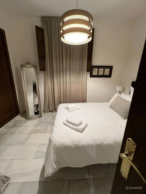 APARTAMENTO DE DOS DORMITORIOS JUNTO AL PASEO DE LOS TRISTES
