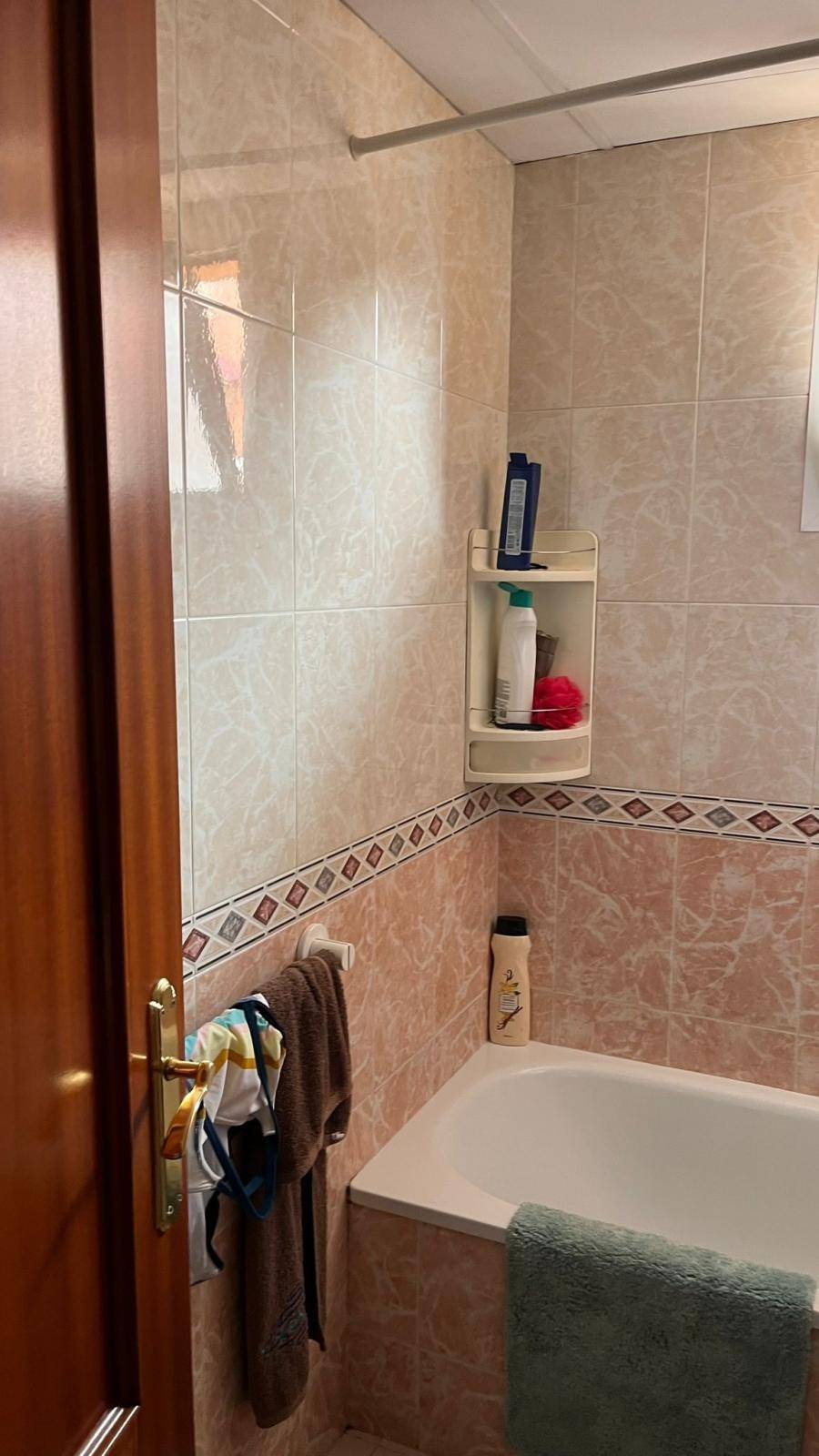 HABITACIÓN LIBRE EN EL ZAIDÍN